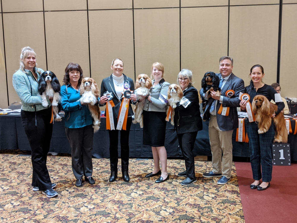 January 6, 2020 Winners Dog Judge Tanya Engel 